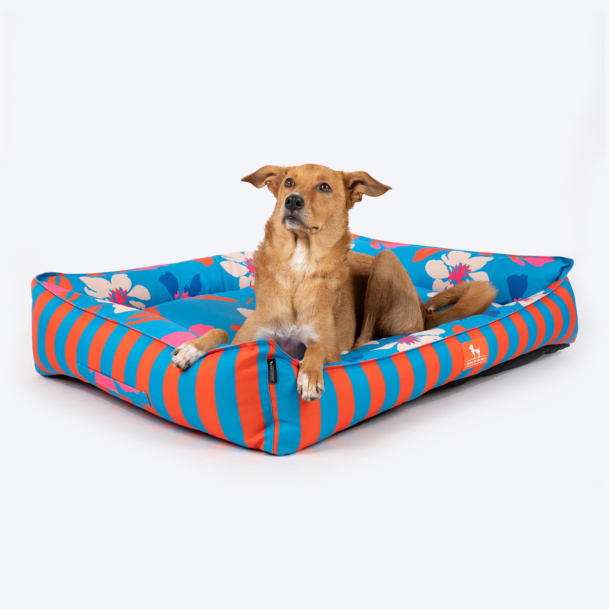 HUFT Summer Bloom Lounger Bed For Dog - Blue - Heads Up For Tails