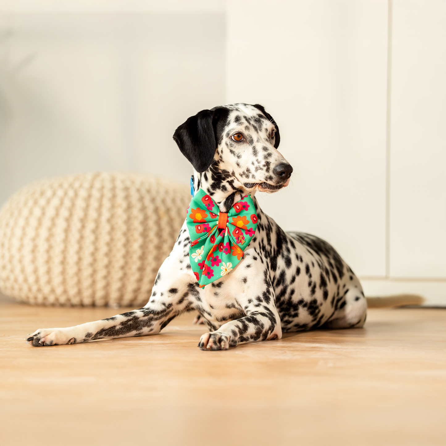 HUFT Beach Bloom Lady Bow Tie For Dog - Green - Heads Up For Tails
