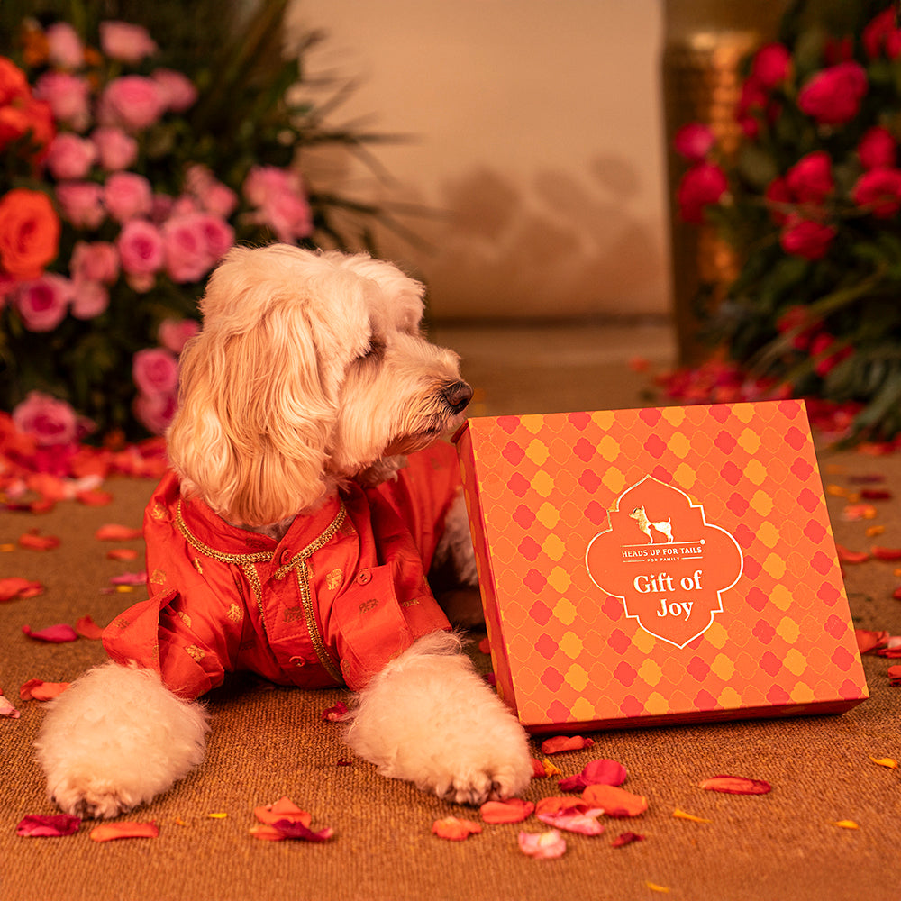 HUFT Gift of Joy Diwali Treat Box For Dog