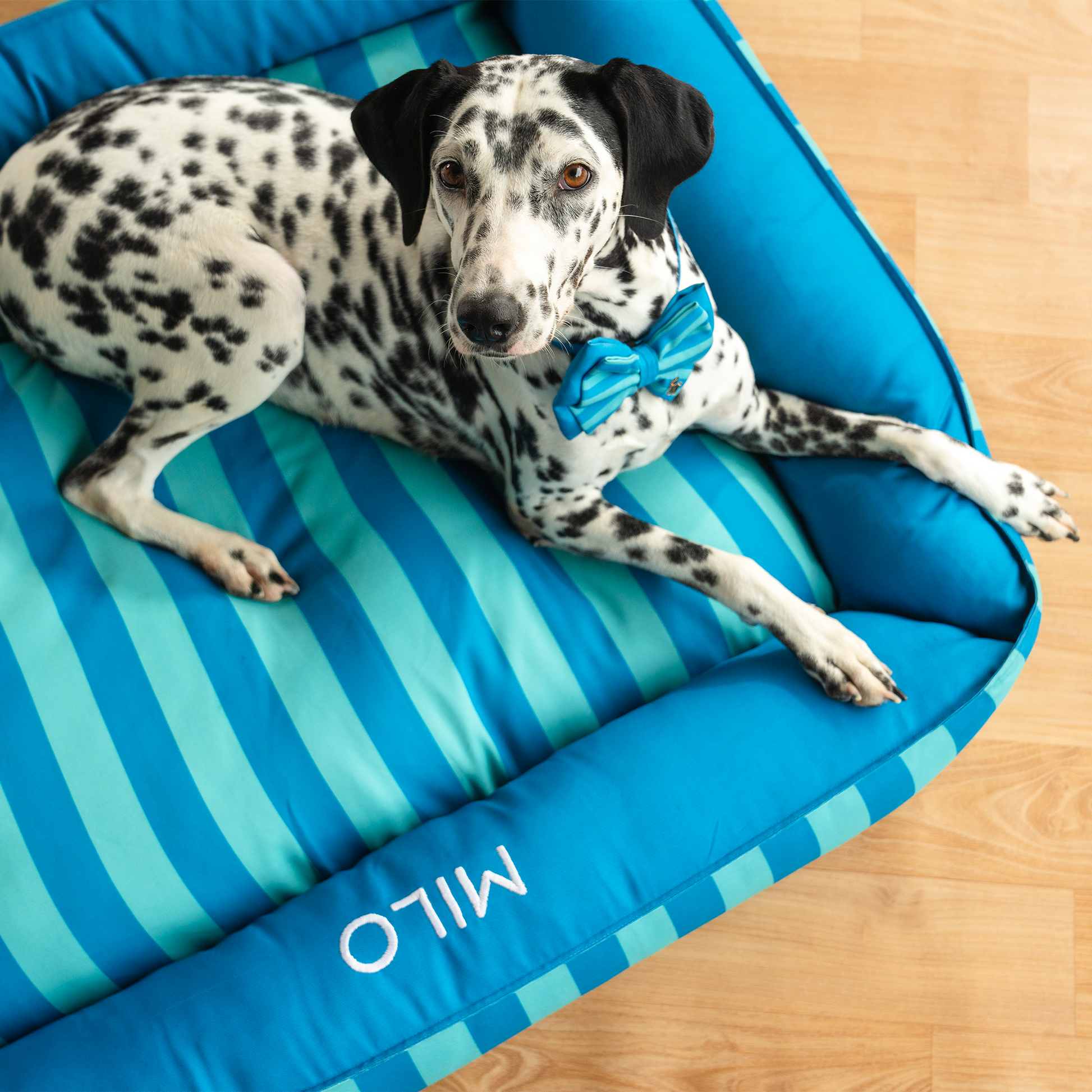 HUFT Personalised Happy Stripes Lounger Bed For Dog - Blue & Turquoise - Heads Up For Tails
