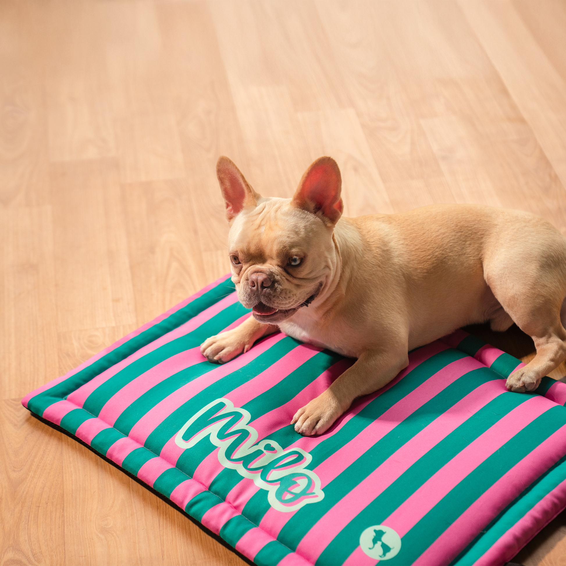 HUFT Personalised Happy Stripes Mat For Dog & Cat - Green & Pink - Heads Up For Tails