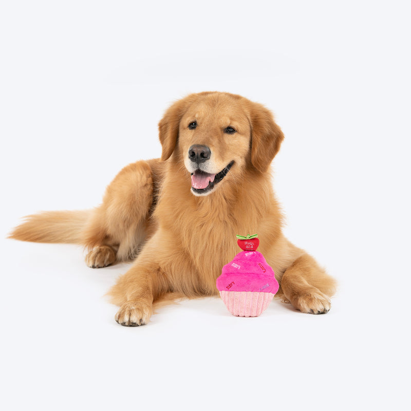 HUFT Cupcake Of Love Squeaky Plush Toy For Dog - Pink - Heads Up For Tails