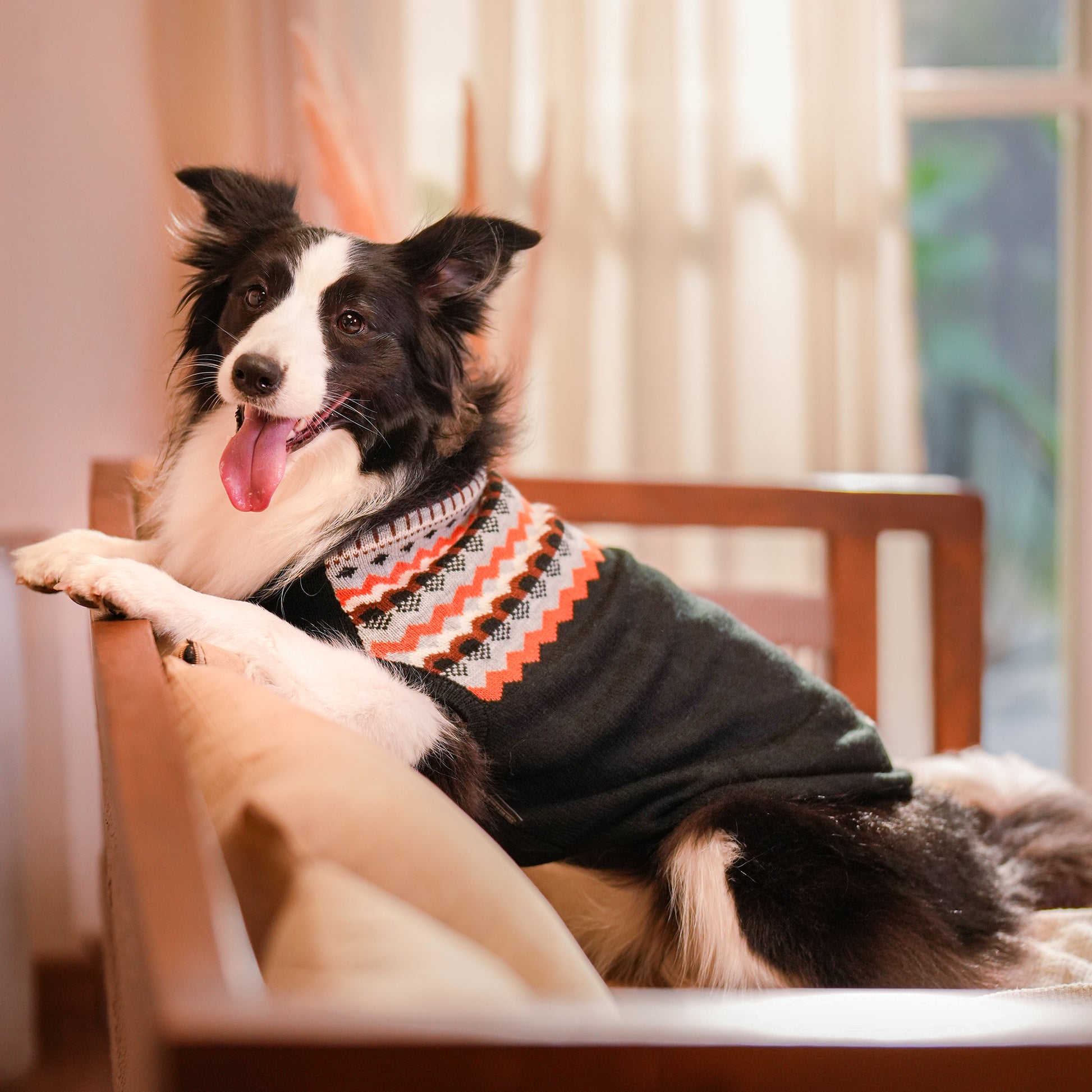 HUFT Snuggle Season Sweater For Dog - Black - Heads Up For Tails