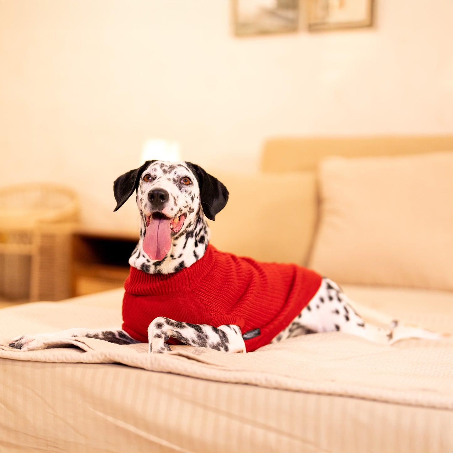 HUFT Berry Merry Sweater For Dog - Red - Heads Up For Tails