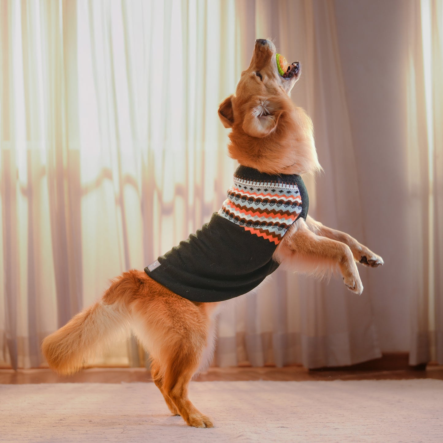 HUFT Snuggle Season Sweater For Dog - Black - Heads Up For Tails