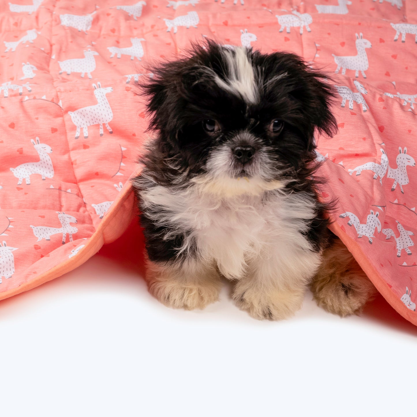 HUFT Cuddle Bundle Puppy & Kitten Blanket - Peach - Heads Up For Tails