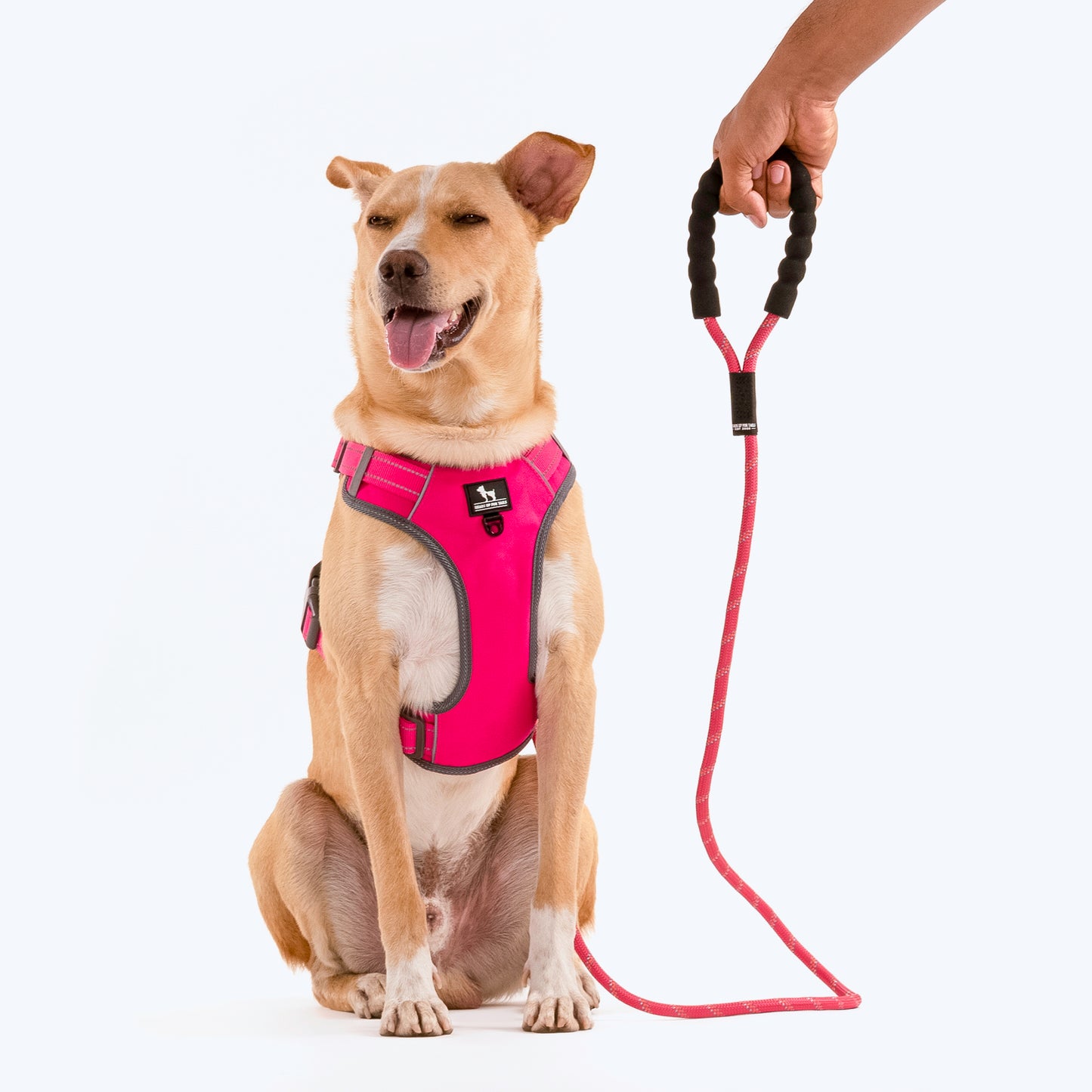 HUFT Rope Dog Leash With Carabiner - Magenta Pink_09