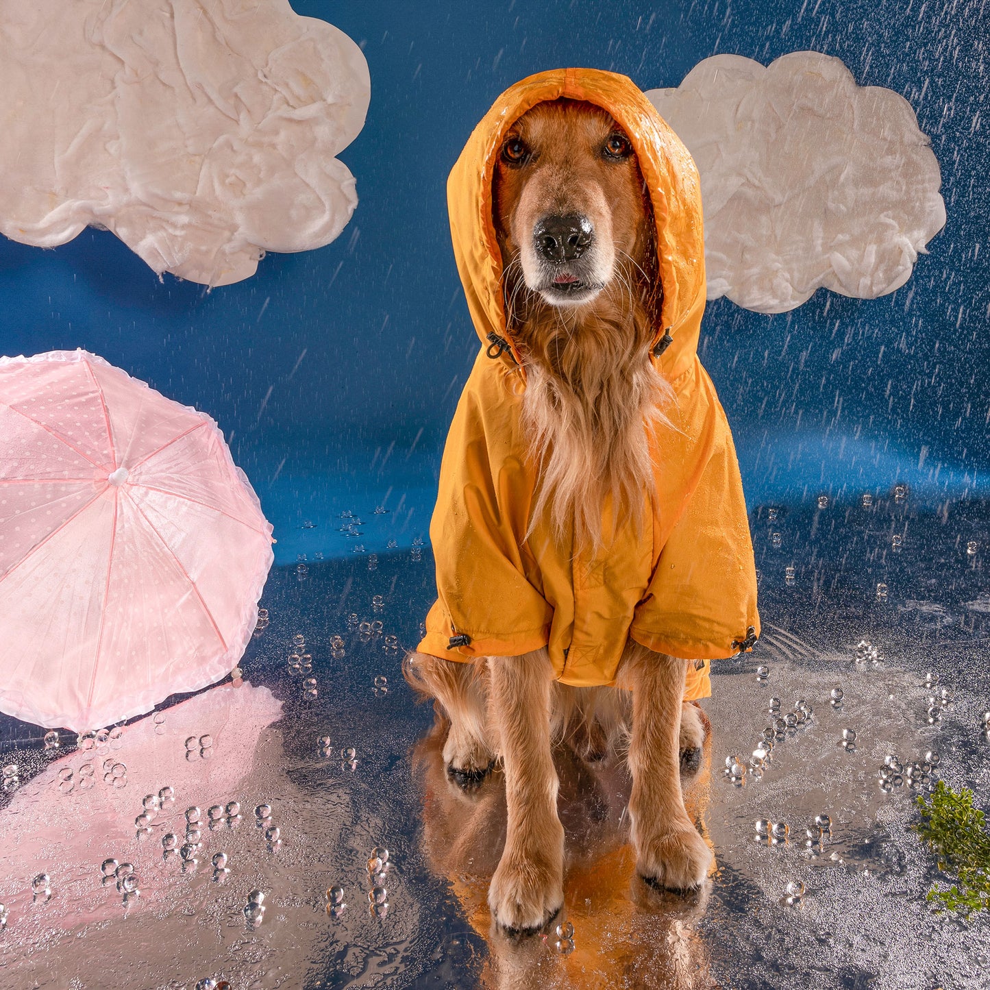 HUFT Magical Mist Dog Raincoat - Yellow - Heads Up For Tails