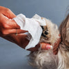 HUFT Biodegradable Pet Wipes - Pack Of 30