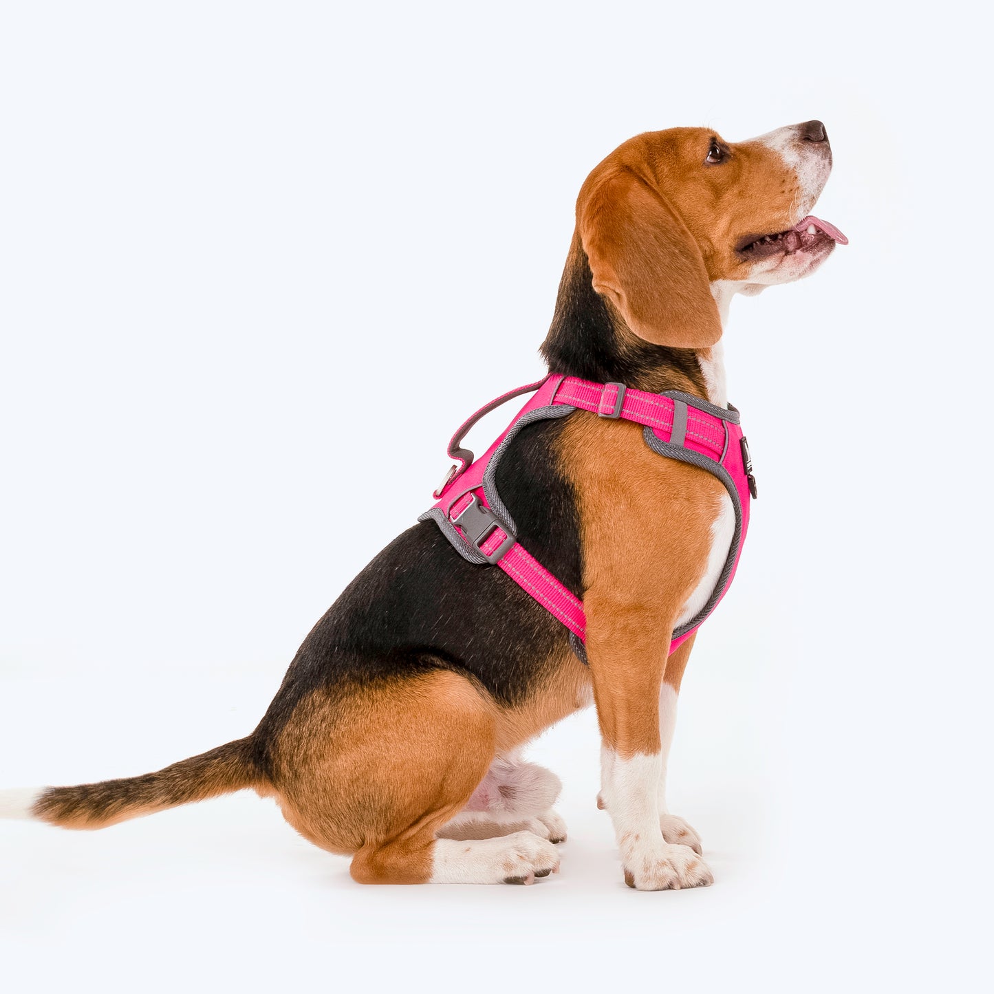 HUFT Active Pet Dog Harness - Magenta Pink - Heads Up For Tails