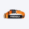 HUFT Trooper Walking Aid Leash & Collar Insert (Friendly) - Heads Up For Tails