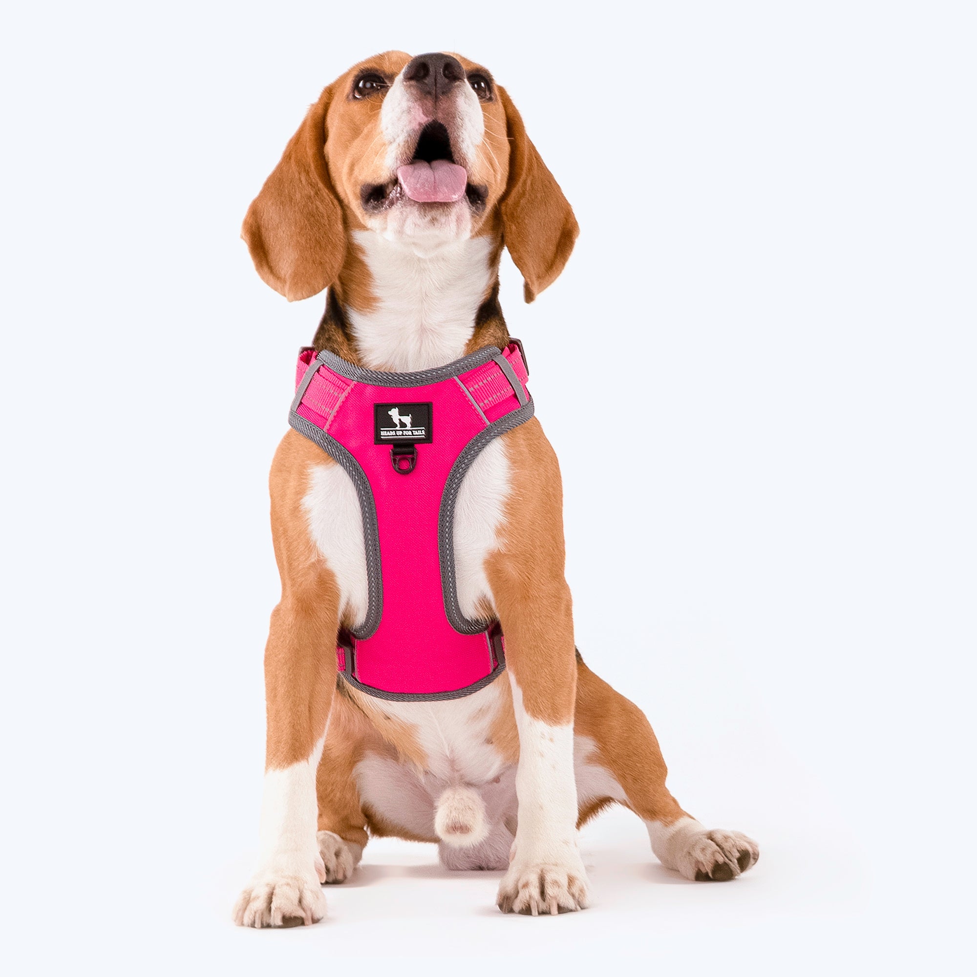 HUFT Pastel Pawprint Rain Friendly Dog Leash - Pink - 1.2 m – Heads Up For  Tails