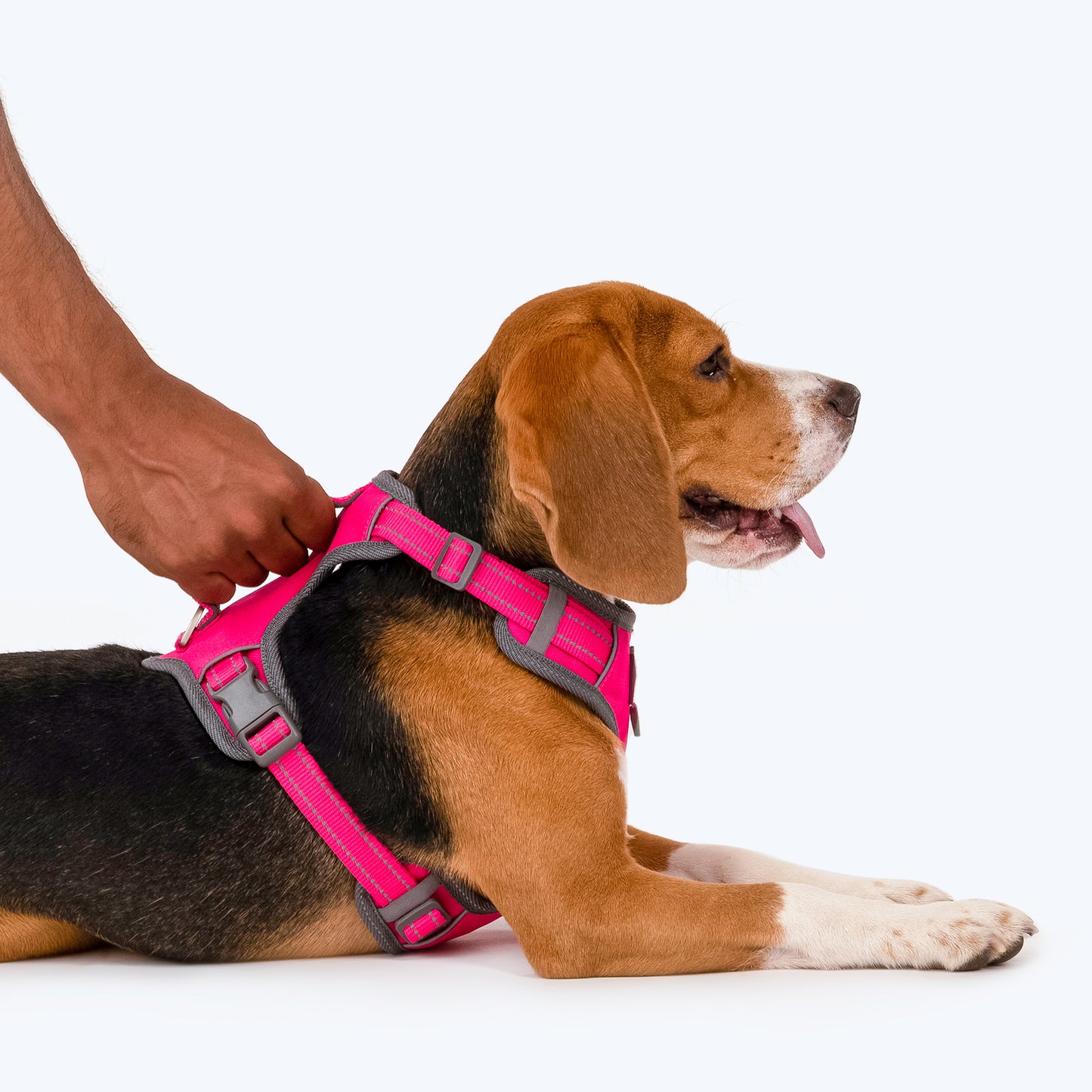 HUFT Active Pet Dog Harness - Magenta Pink - Heads Up For Tails