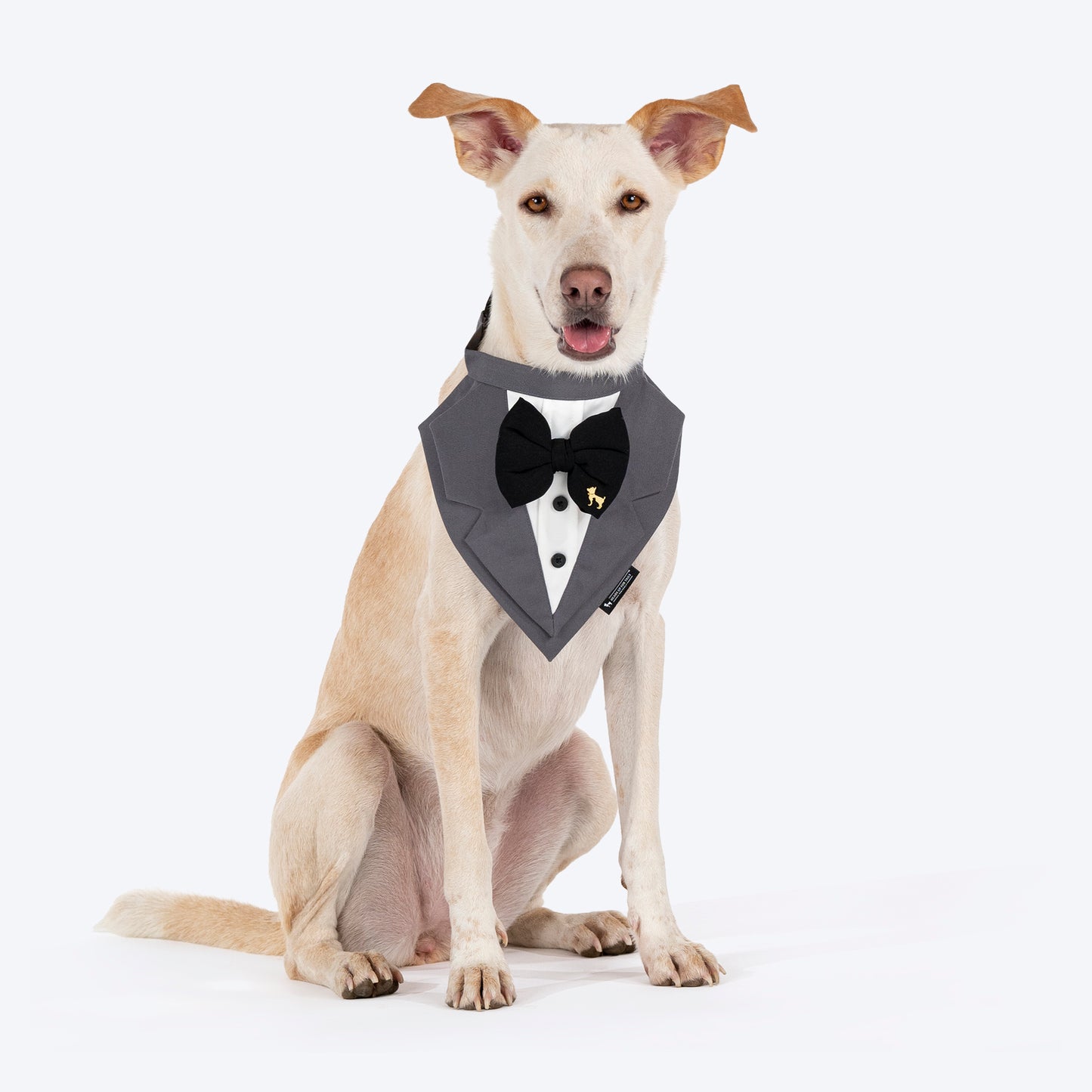 HUFT Pooch in a Suit Bandana For Dog - Grey - Heads Up For Tails