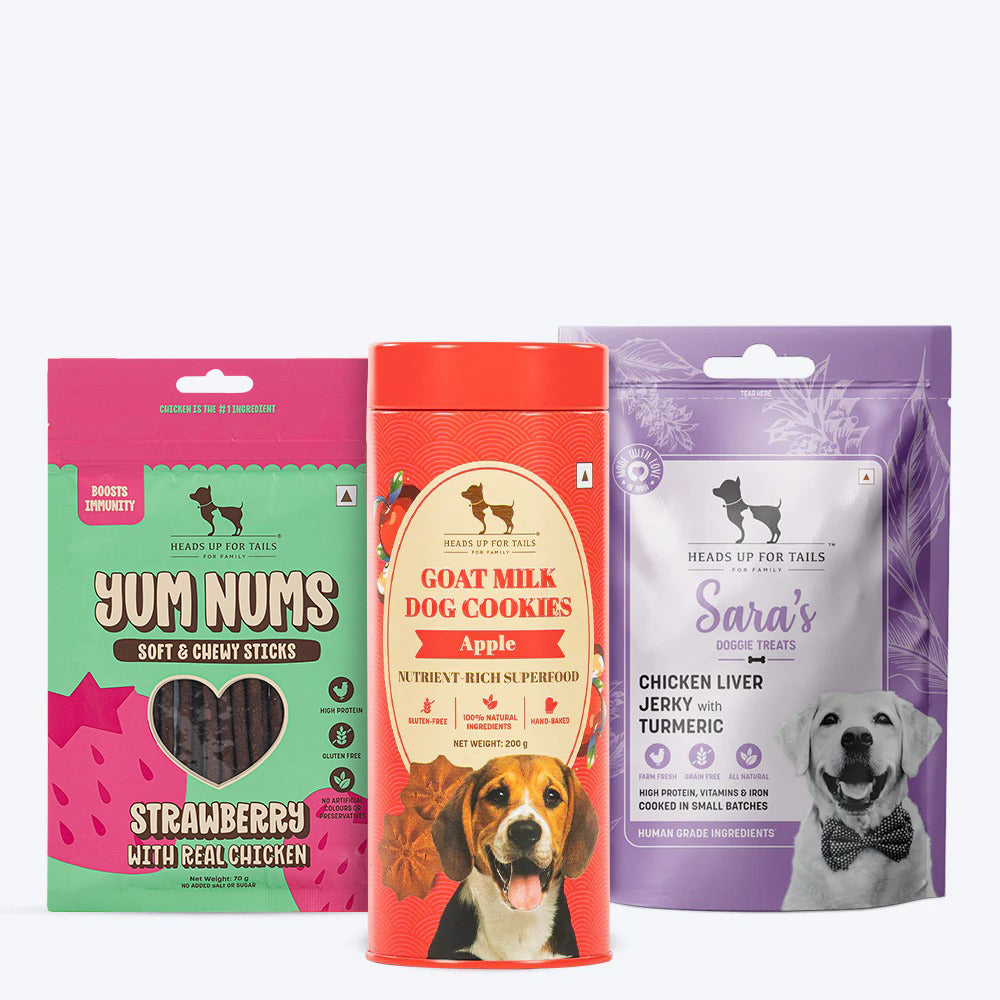 HUFT Immunity Boost Trio Combo - Heads Up For Tails