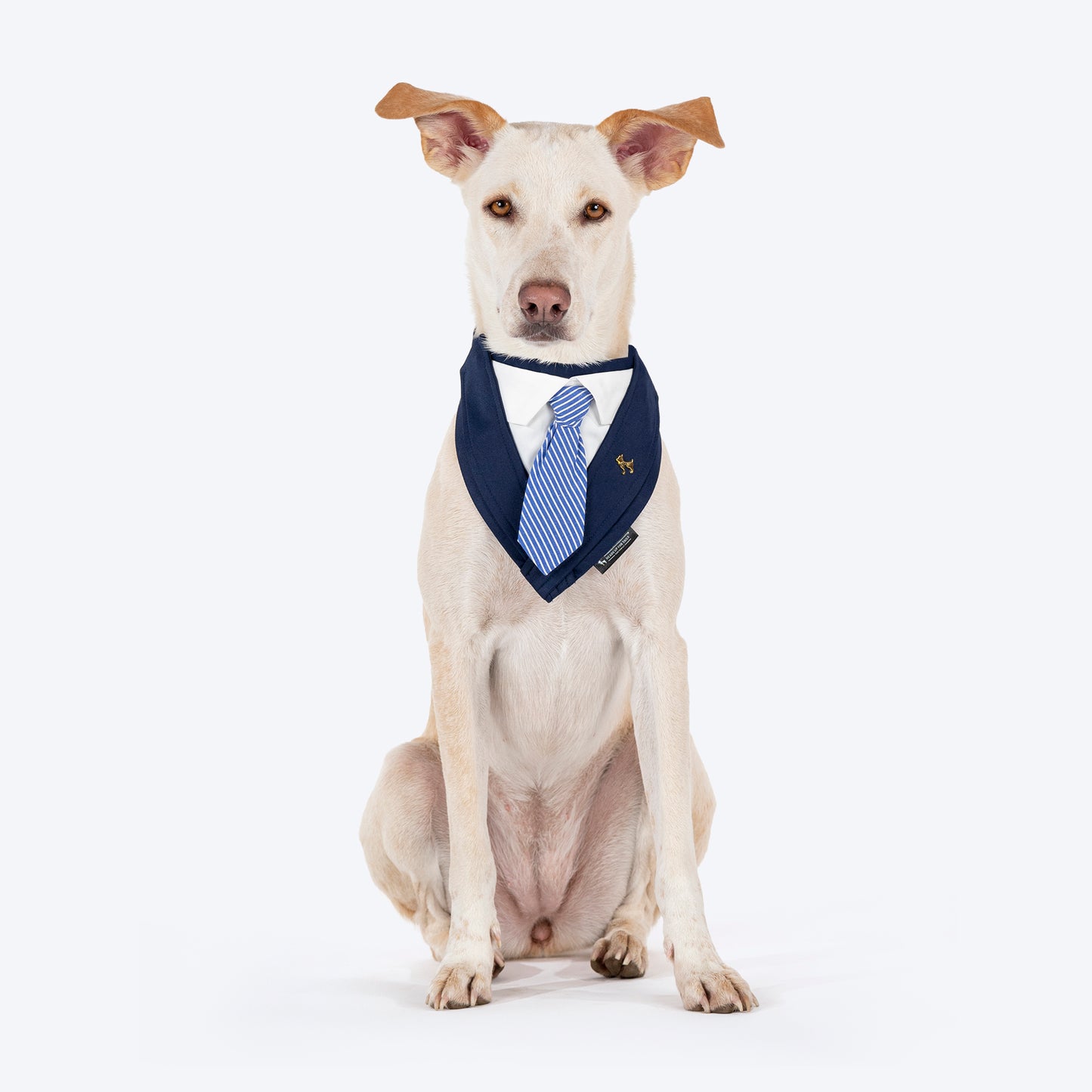 HUFT Bow Wow Tuxedo Bandana for Dog - Navy - Heads Up For Tails