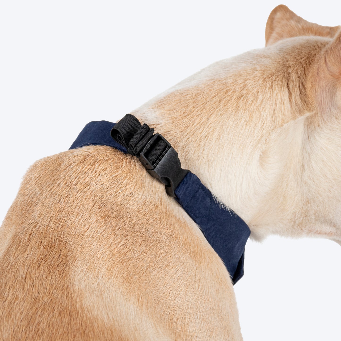 HUFT Bow Wow Tuxedo Bandana for Dog - Navy - Heads Up For Tails