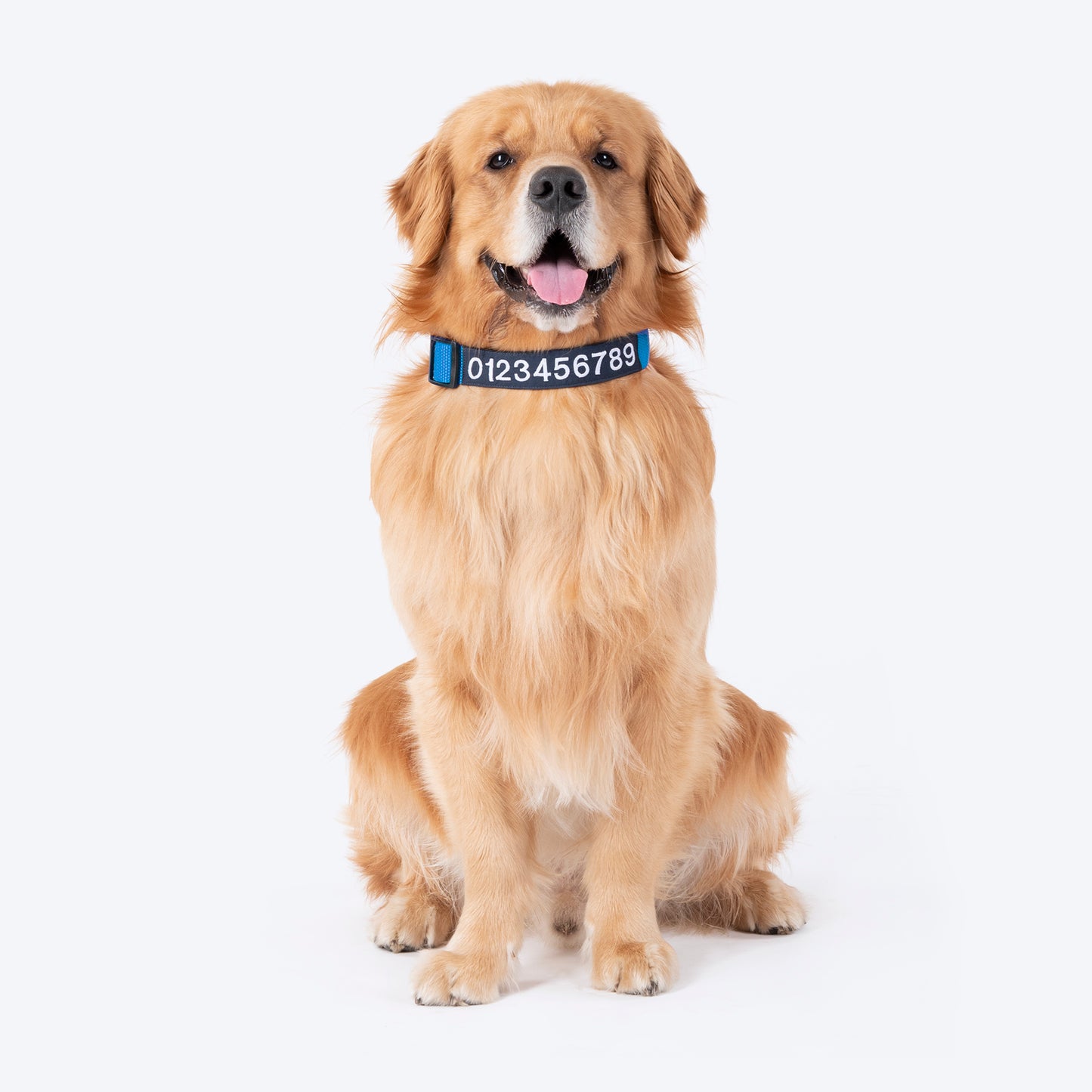 HUFT Personalised (Mobile No.) Basics Dog Collar - Cobalt Blue - Heads Up For Tails