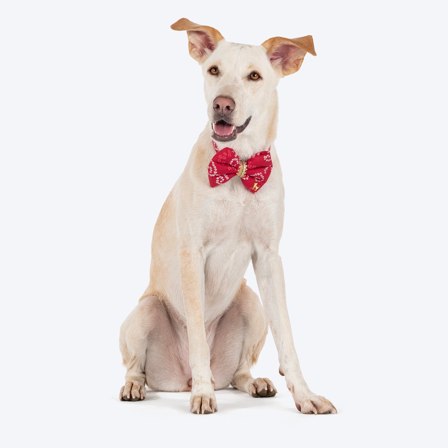 HUFT Bandhani Breeze Bowtie With Strap For Dog - Red - Heads Up For Tails