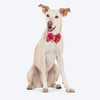 HUFT Bandhani Breeze Bowtie With Strap For Dog - Red - Heads Up For Tails
