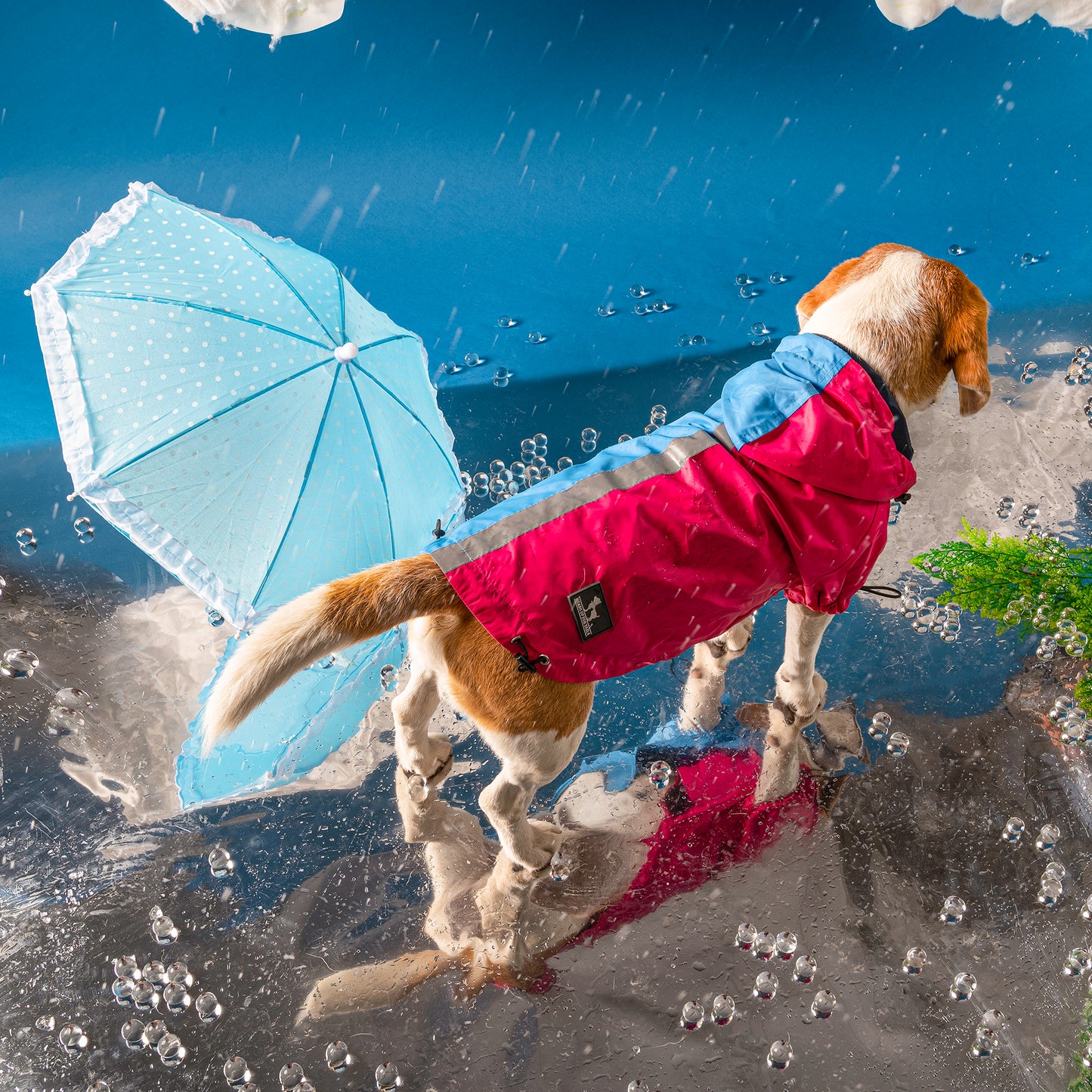 HUFT Magical Mist Dog Raincoat - Light Blue & Pink - Heads Up For Tails