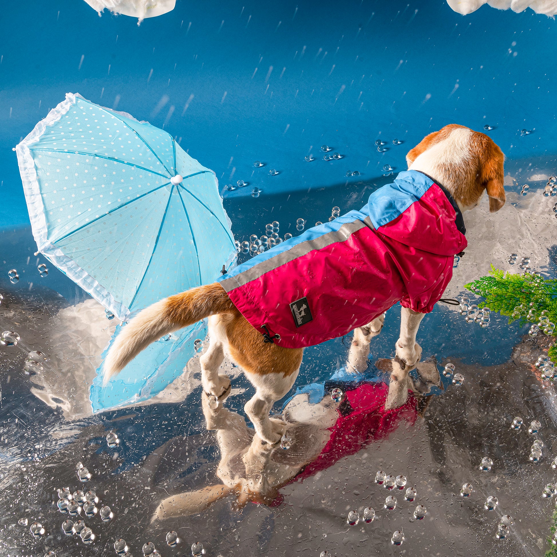 HUFT Magical Mist Dog Raincoat - Light Blue & Pink - Heads Up For Tails