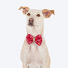 HUFT Bandhani Breeze Bowtie With Strap For Dog - Red - Heads Up For Tails