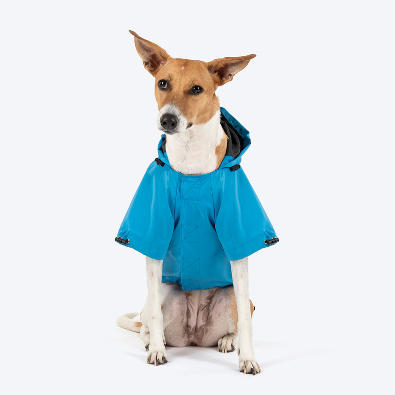 HUFT Magical Mist Raincoat With Harness Opening For Dog - Sky Blue - Heads Up For Tails