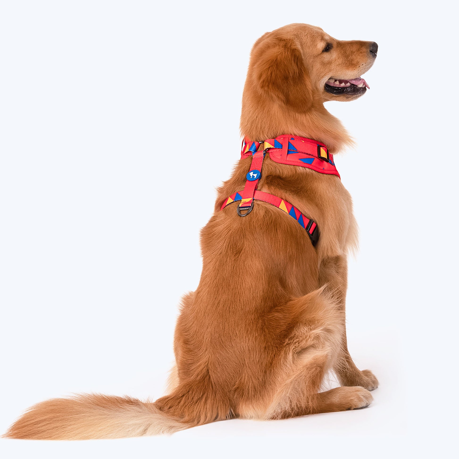 HUFT Crimson Thrill Dog Adjustable Harness_04