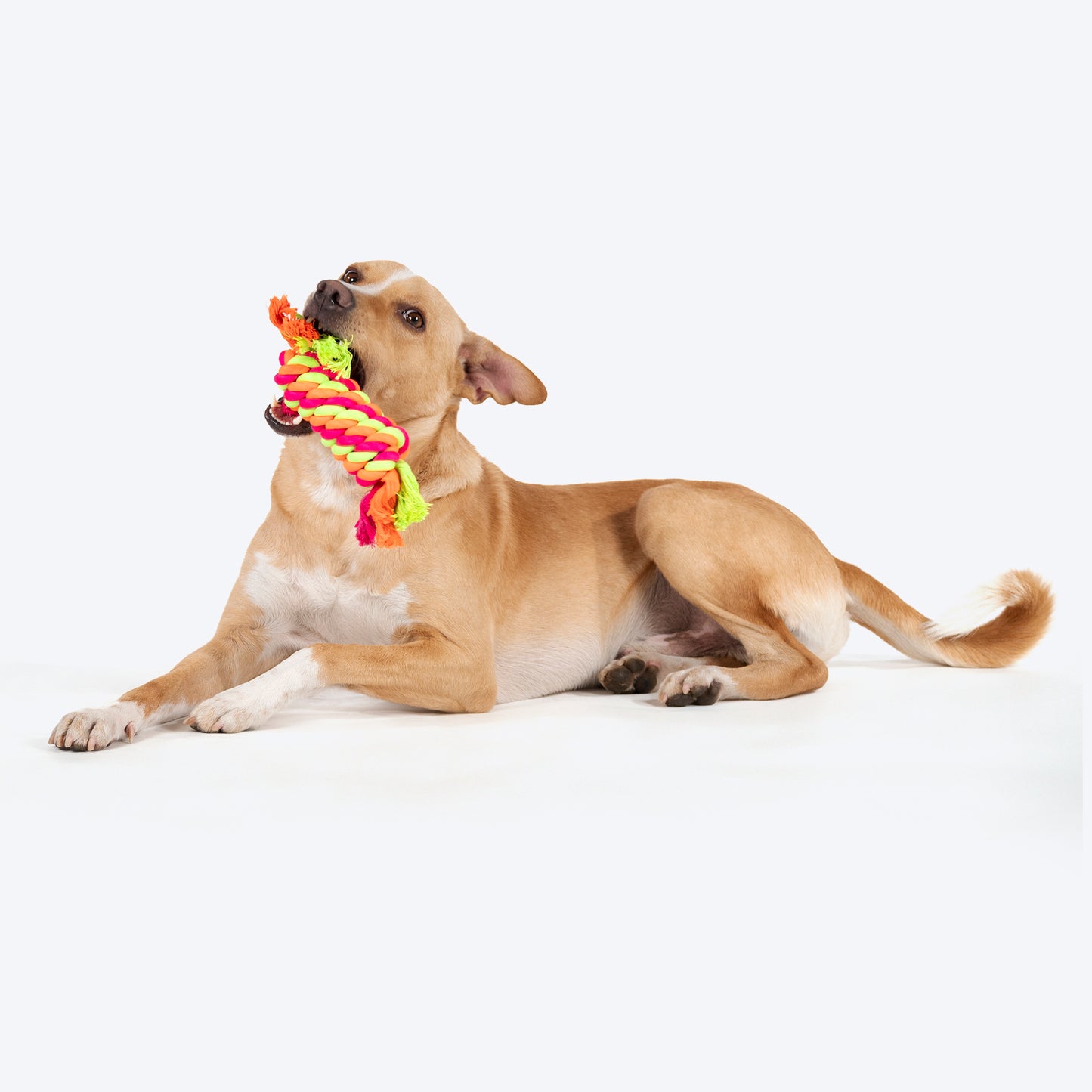 HUFT Tuggables Rope Toy For Dog - Multicolor - Heads Up For Tails