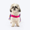 HUFT Shahi Sparkle Dress For Dog - Pink/Purple
