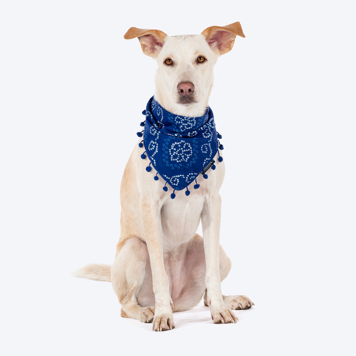HUFT Bandhani Breeze Knot Bandana For Dog - Blue - Heads Up For Tails