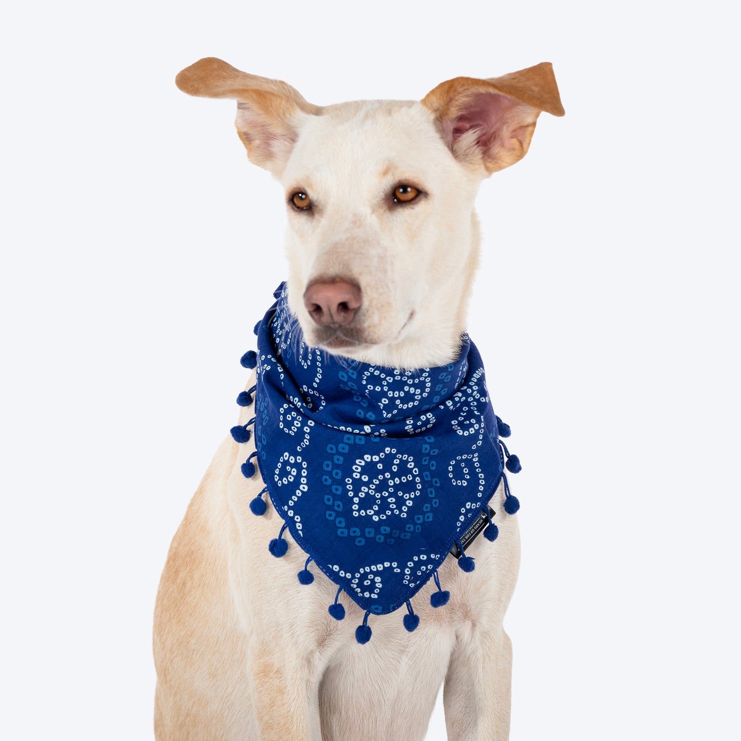 HUFT Bandhani Breeze Knot Bandana For Dog - Blue - Heads Up For Tails