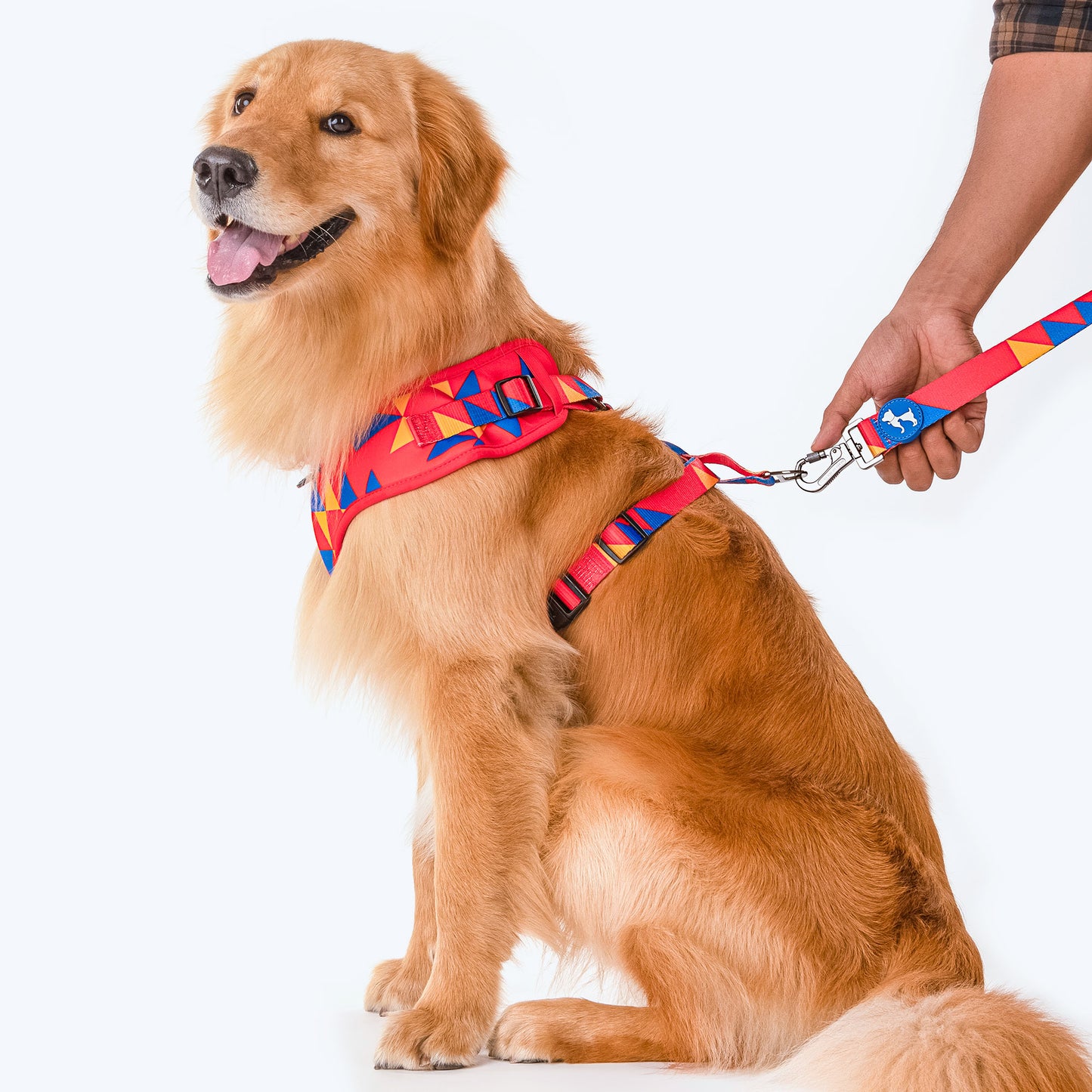 HUFT Crimson Thrill Printed Dog Leash - Heads Up For Tails