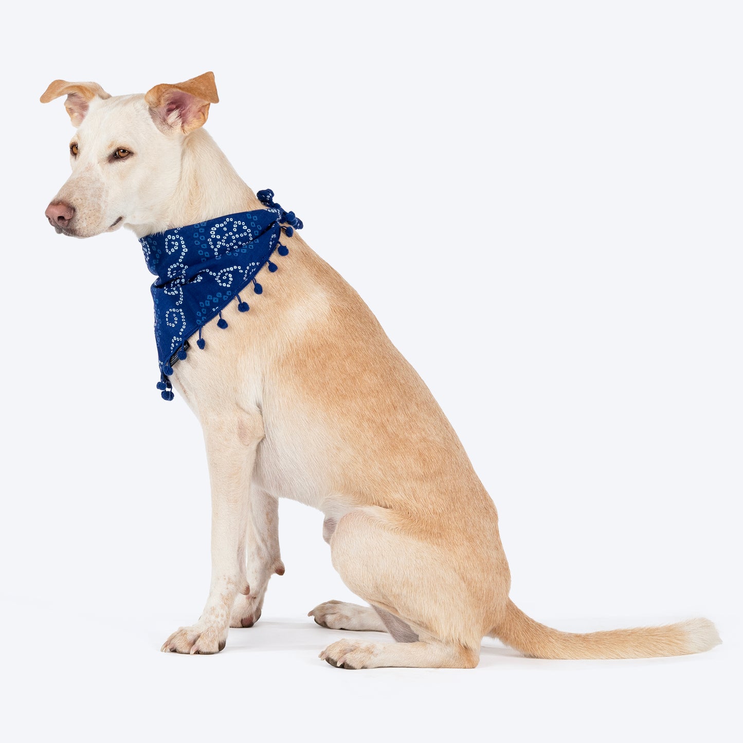 HUFT Bandhani Breeze Knot Bandana For Dog - Blue - Heads Up For Tails