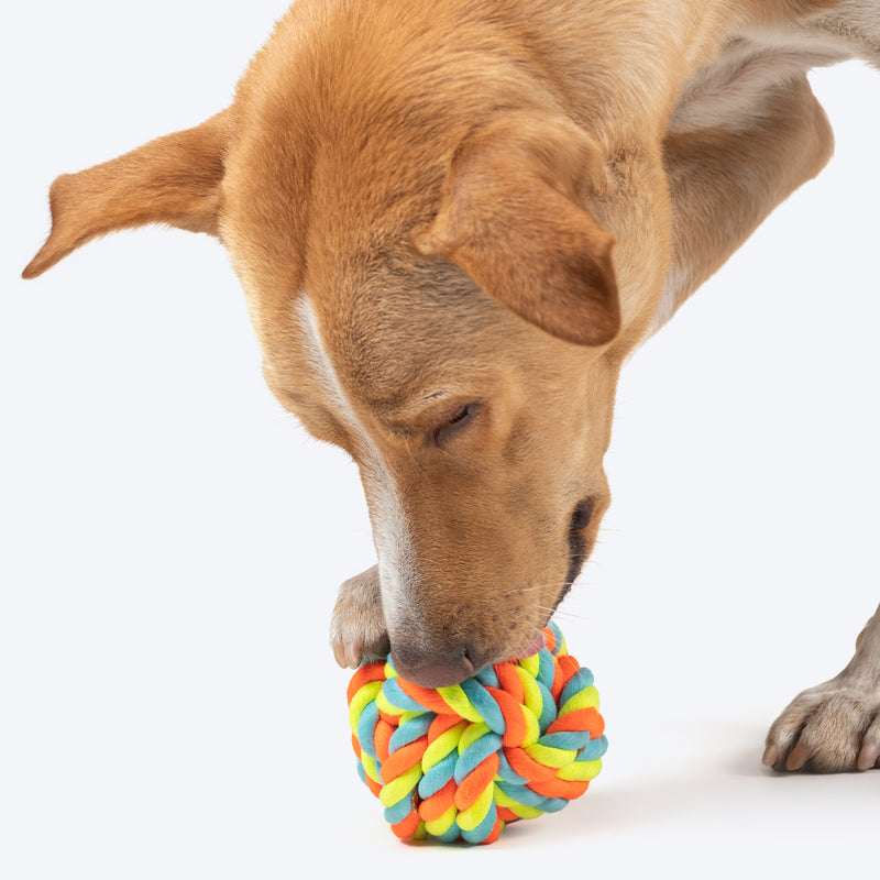 HUFT Tuggables Ball Rope Toy For Dog - Multicolor - Heads Up For Tails