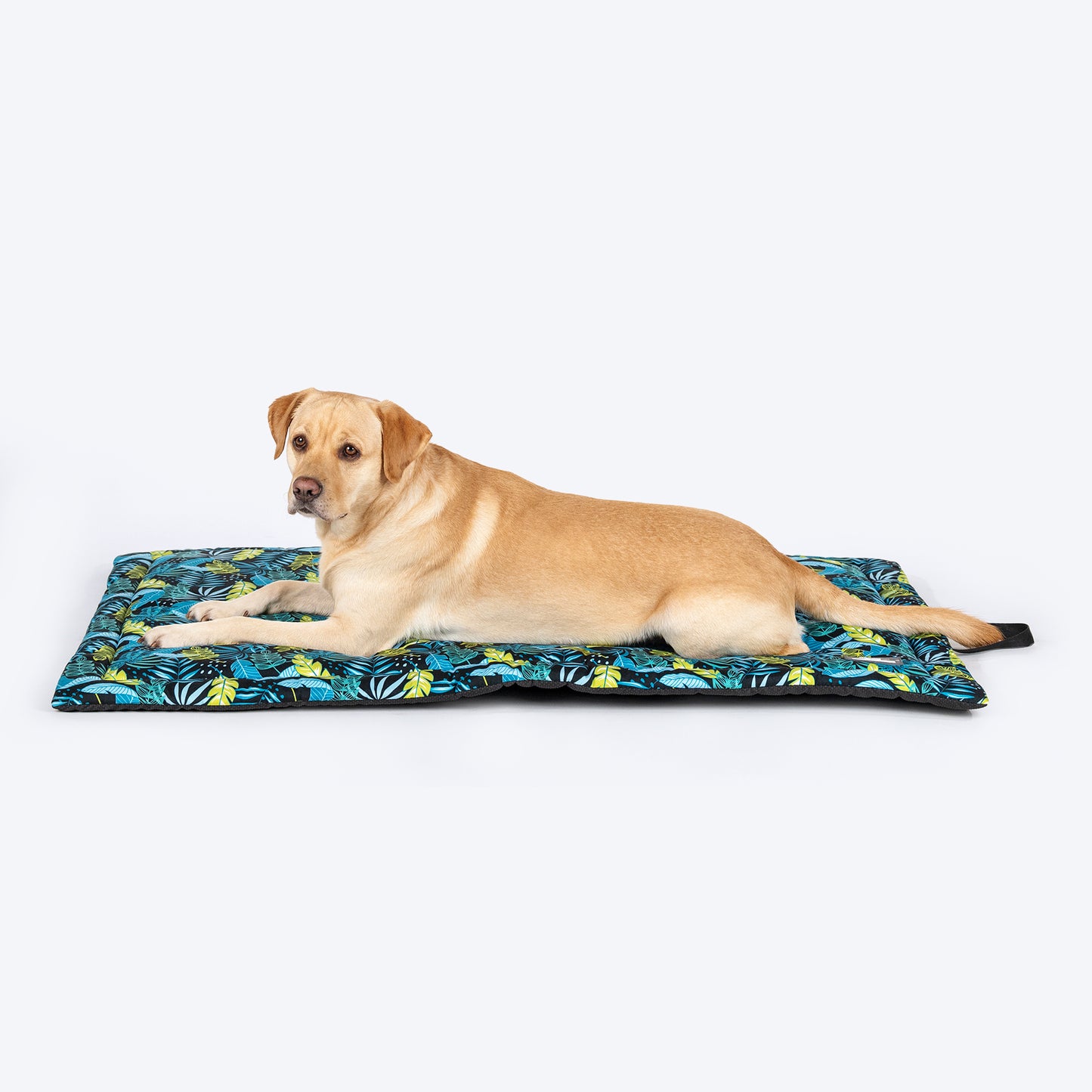 HUFT Luminous Leaves Mat Dog & Cat - Navy - Heads Up For Tails