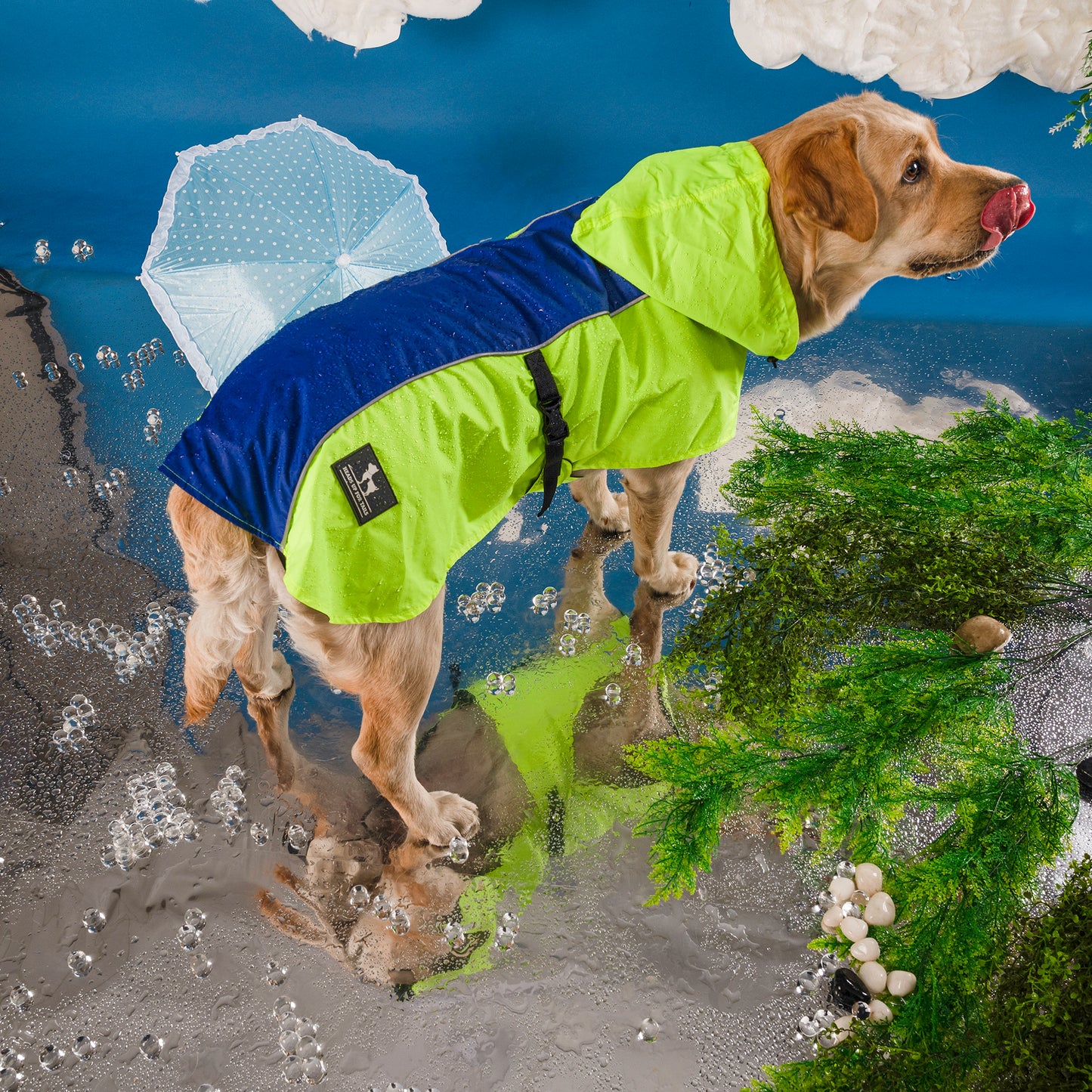 HUFT Neon Shower Dog Raincoat - Neon Green & Deep Blue - Heads Up For Tails