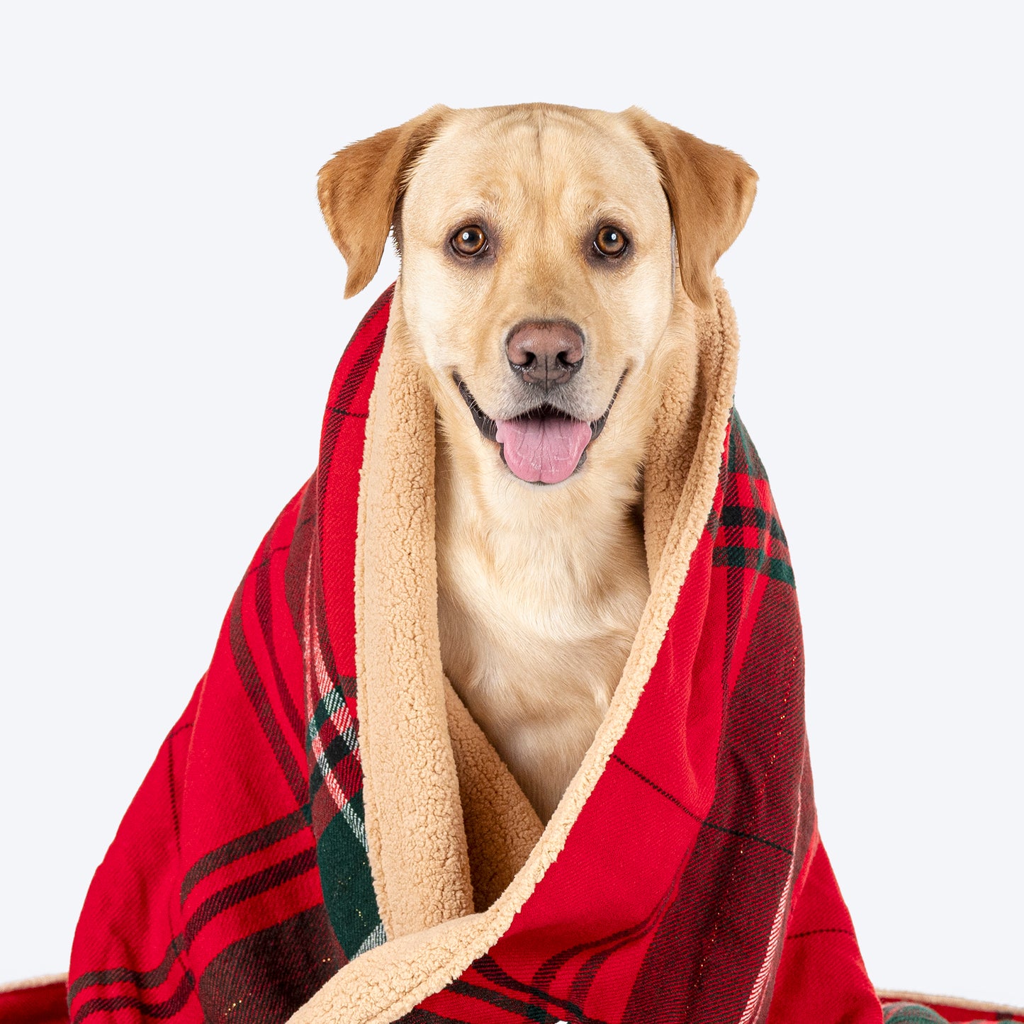 HUFT Holiday Plaid Blanket For Dog & Cat - Red_04