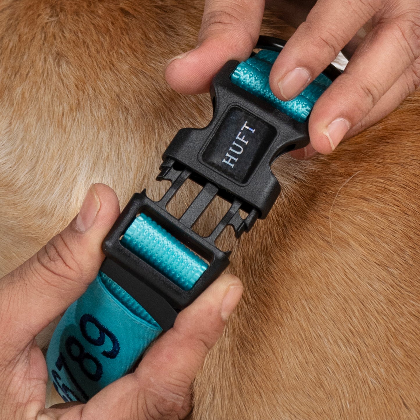 HUFT Personalised Basics (Mobile No.) Dog Collar - Blue - Heads Up For Tails