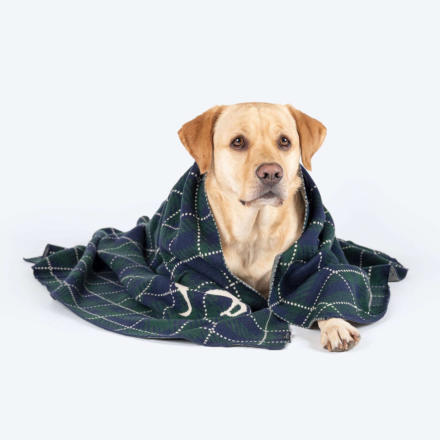 HUFT Warm Hug Blanket For Dog & Cat - Green & Navy - Heads Up For Tails