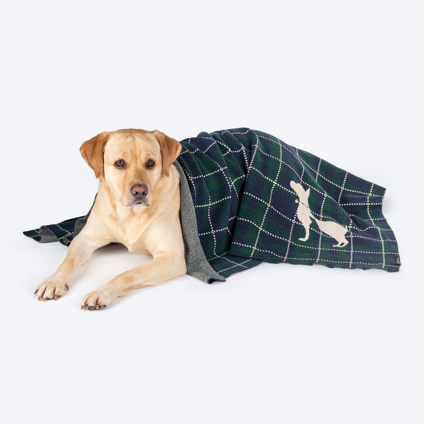 HUFT Warm Hug Blanket For Dog & Cat - Green & Navy - Heads Up For Tails
