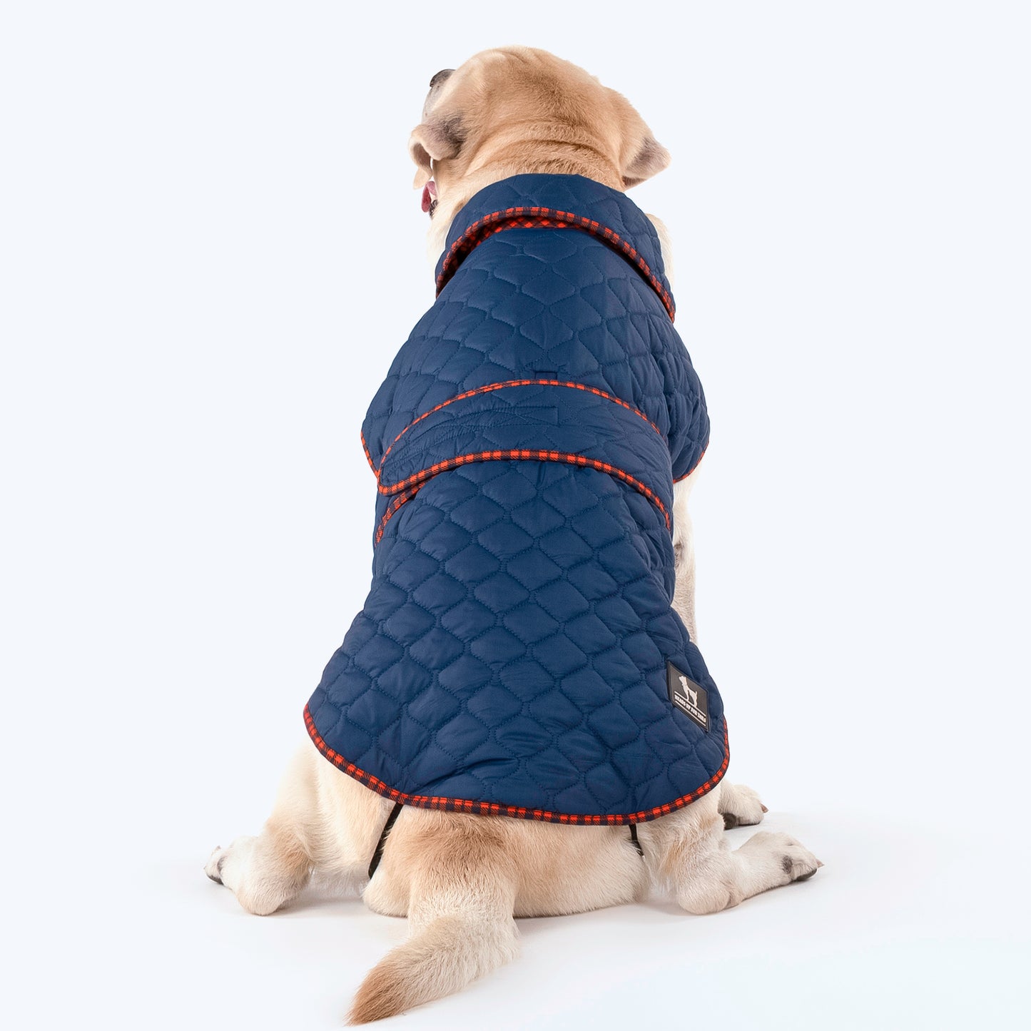 HUFT Grrberry Quilted Dog Jacket - Teal Blue - Heads Up For Tails