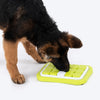 HUFT Puzzle Pups Interactive Toy For Dog - White & Green - Heads Up For Tails