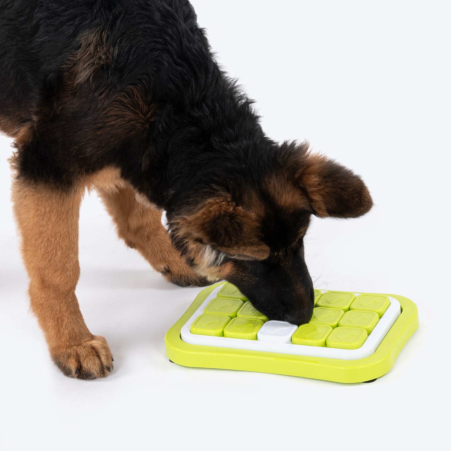 HUFT Puzzle Pups Interactive Toy For Dog - White & Green - Heads Up For Tails