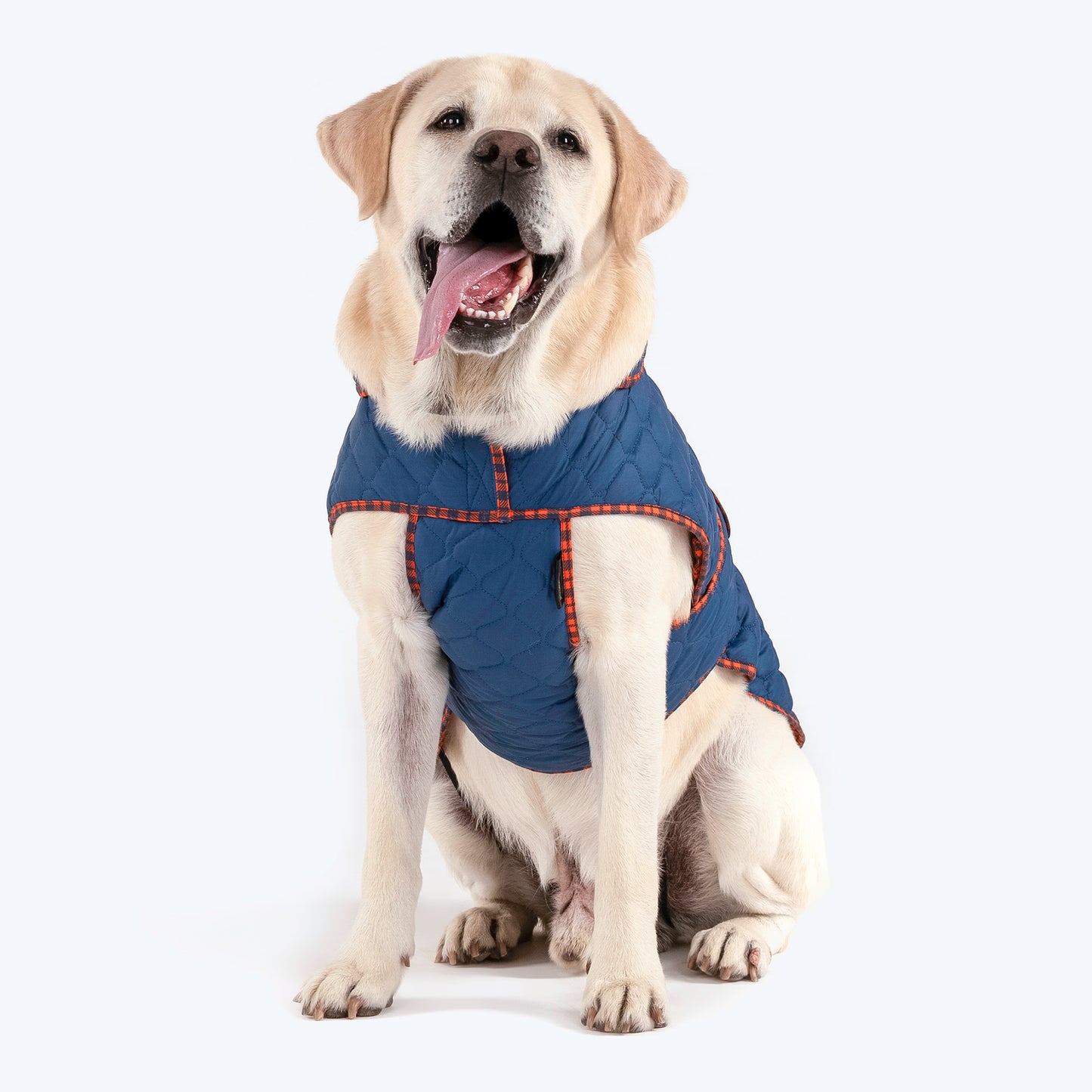 HUFT Grrberry Quilted Dog Jacket - Teal Blue - Heads Up For Tails