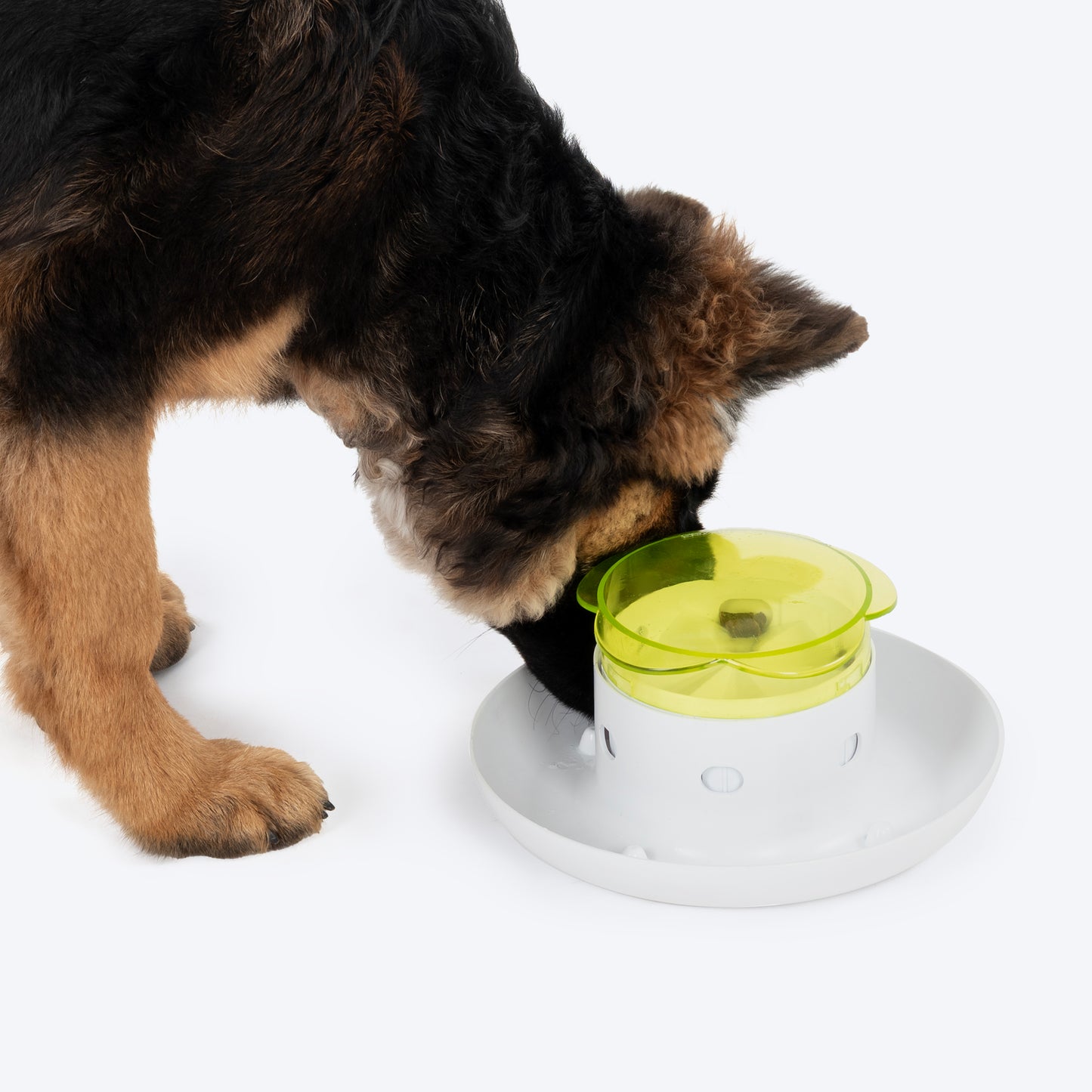 HUFT Push Push Yum! Treat Dispensing Interactive Toy For Dog - White & Green - Heads Up For Tails