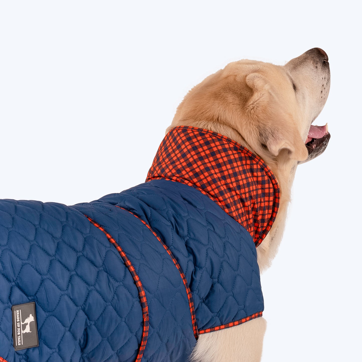 HUFT Grrberry Quilted Dog Jacket - Teal Blue - Heads Up For Tails