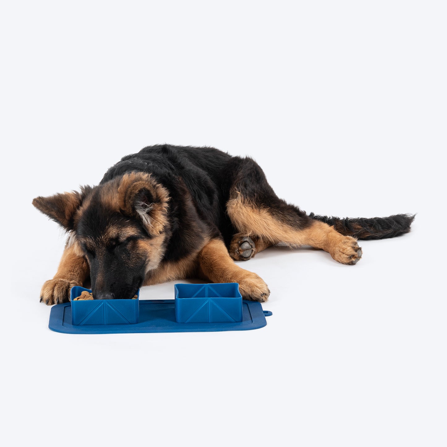 Dash Dog Travel Foldable Double Diner For Dog - Blue - Heads Up For Tails