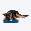 Dash Dog Travel Foldable Double Diner For Dog - Blue - Heads Up For Tails
